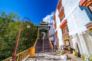 Hemis Monastery 3700m